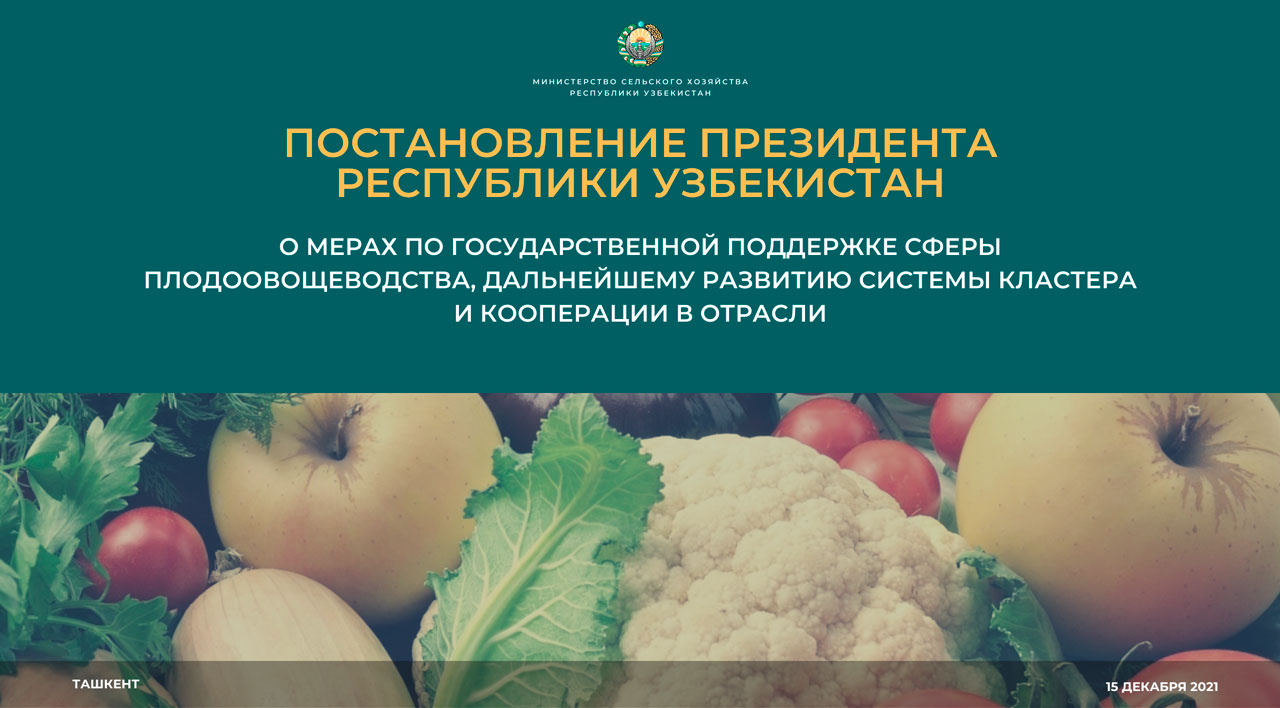 О мерах по государственной поддержке сферы плодоовощеводства, дальнейшему  развитию системы кластера и кооперации в отрасли - AGRO.UZ