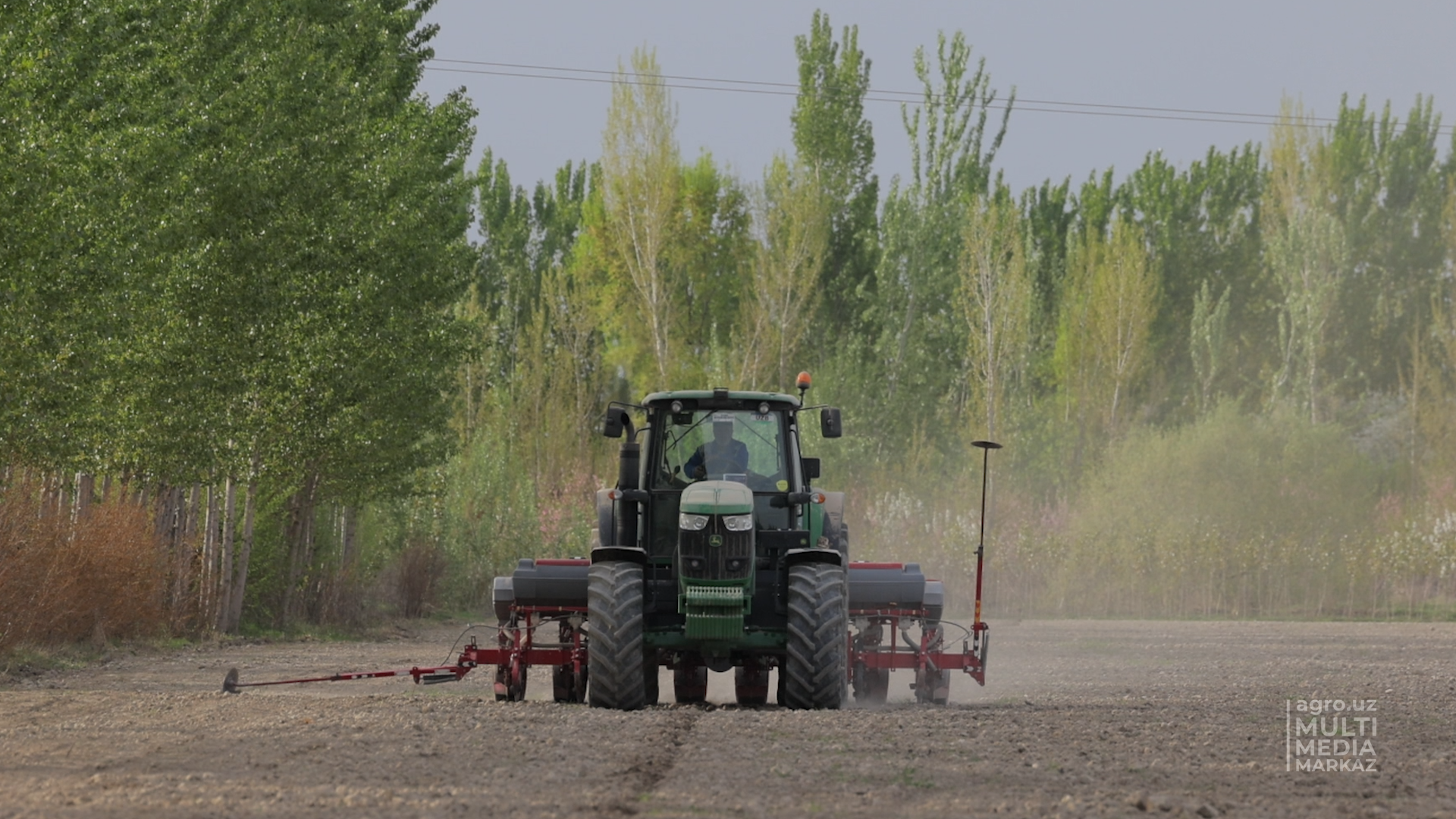 По республике продолжается посев семян хлопчатника и сои - AGRO.UZ