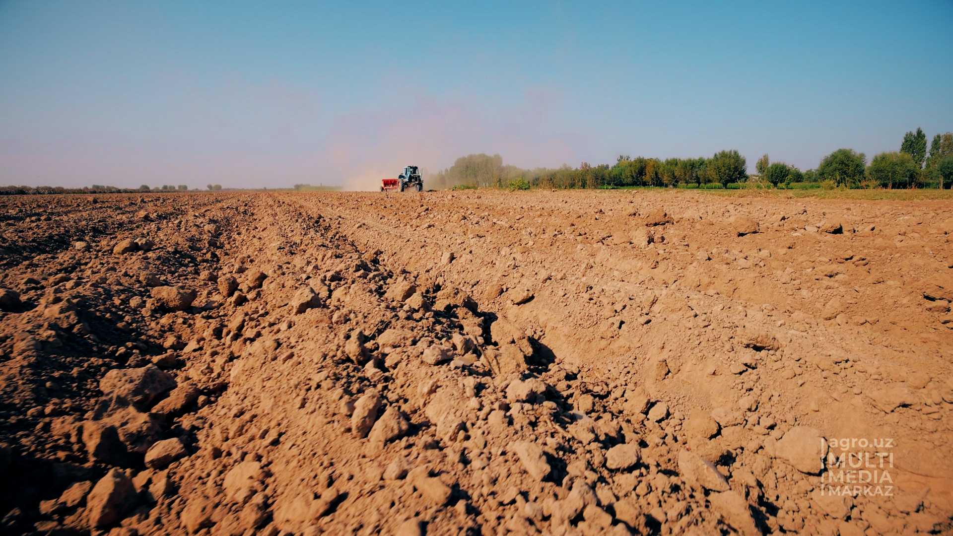 Crop agro uz. Сев озимых культур. Сев озимых культур на Дону. Условия производства пшеницы в Узбекистане.